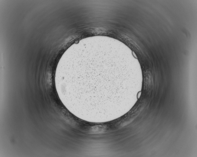 X0000112790700200910021100