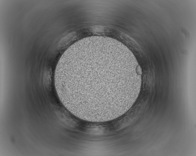 X0000112790702200910021100