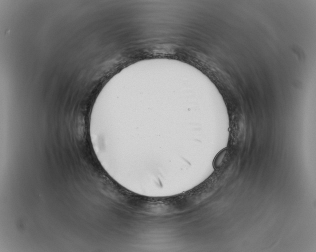 X0000112790704200910021100