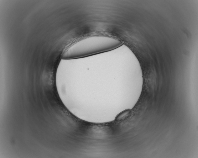 X0000112790708200910021100