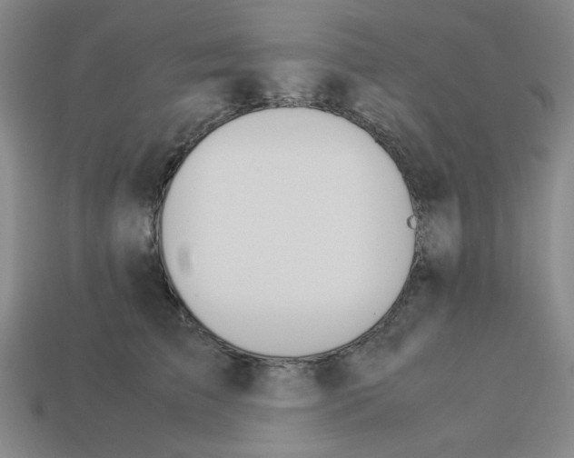 X0000112790709200910021100