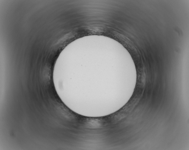 X0000112790710200910021100