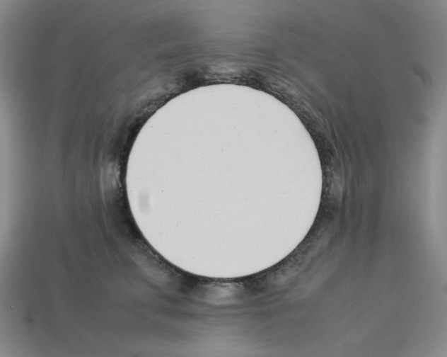 X0000112790711200910021100