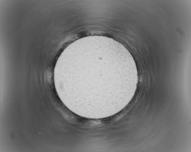 X0000112790715200910021059