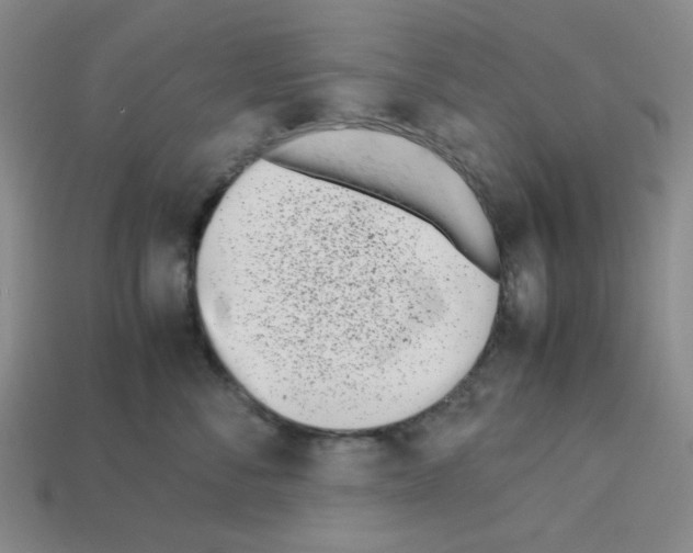 X0000112790716200910021059