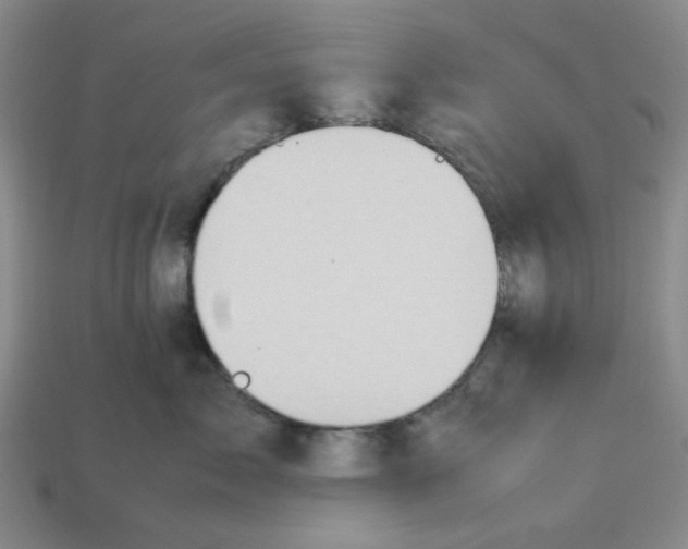 X0000112790717200910021059