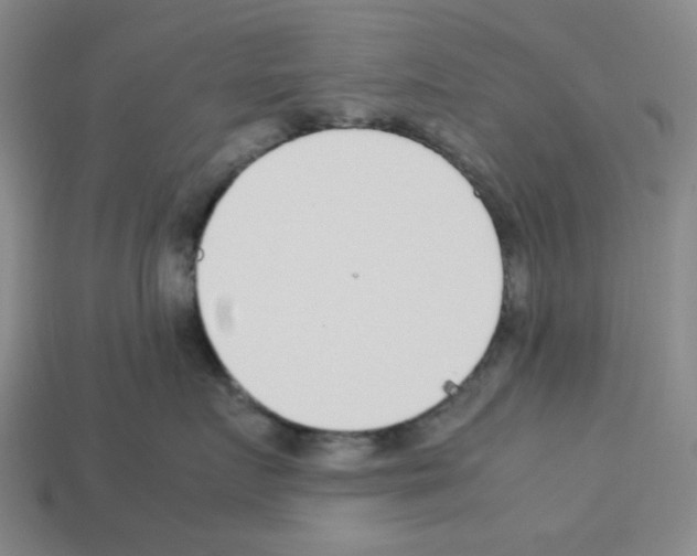 X0000112790719200910021059