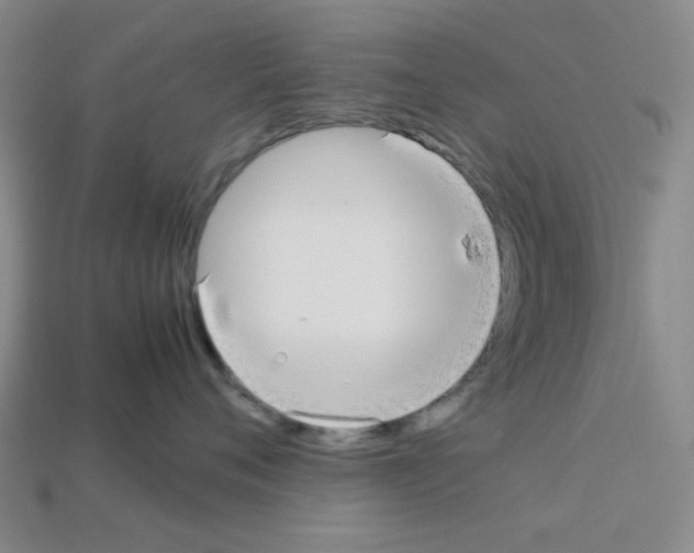 X0000112790720200910021059