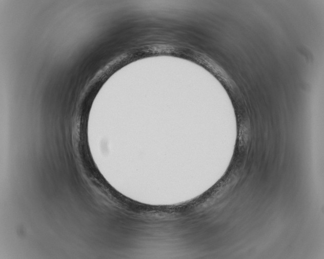 X0000112790722200910021059