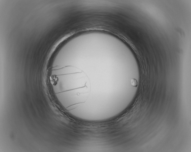 X0000112790724200910021059