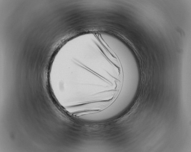 X0000112790725200910021059