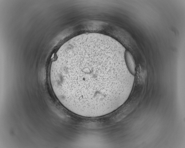 X0000112790726200910021059