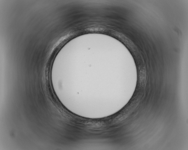 X0000112790727200910021059