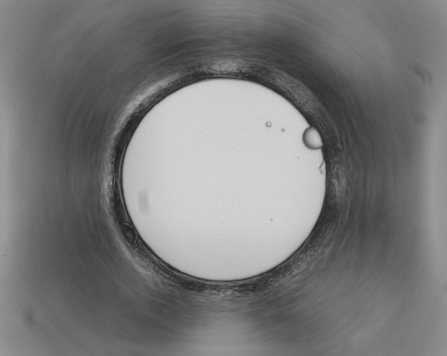 X0000112790728200910021059