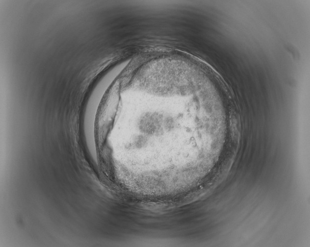 X0000112790729200910021059