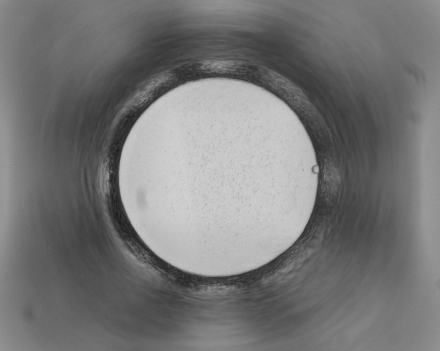 X0000112790734200910021059