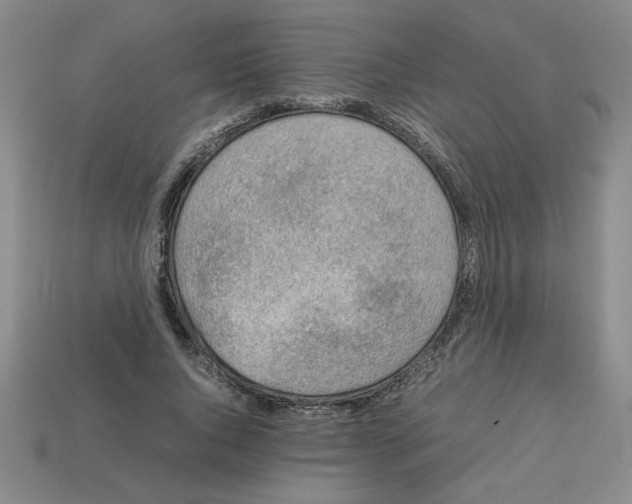 X0000112790736200910021059