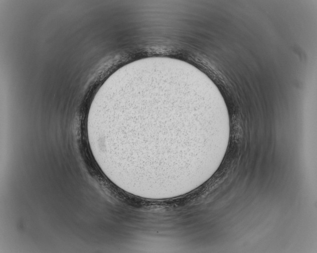 X0000112790738200910021059