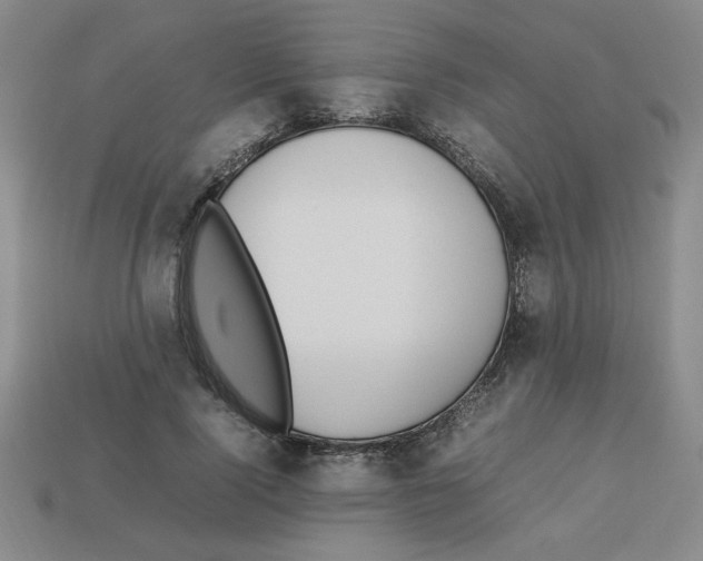 X0000112790740200910021059