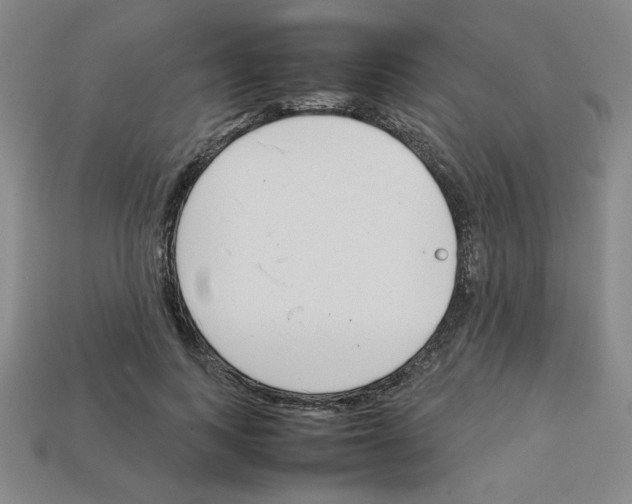 X0000112790743200910021059