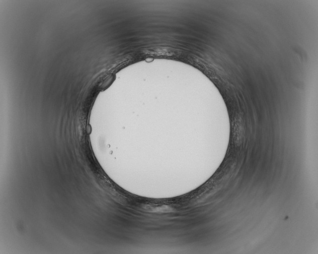 X0000112790747200910021059