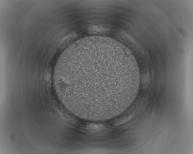 X0000112790749200910021059