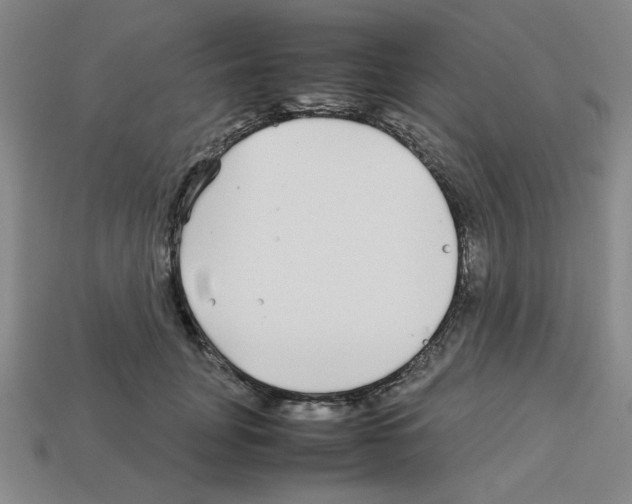 X0000112790751200910021059