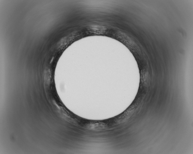 X0000112790752200910021059