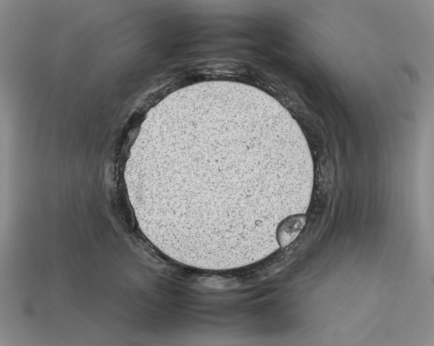 X0000112790755200910021059