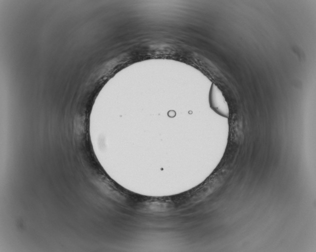 X0000112790756200910021059