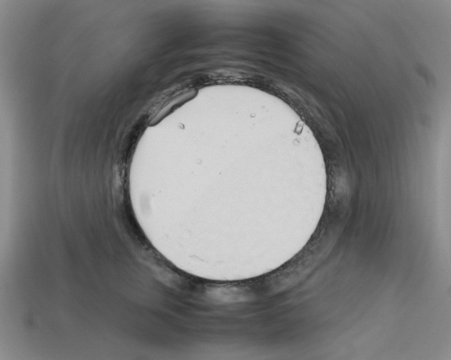 X0000112790759200910021059