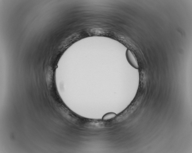 X0000112790760200910021059