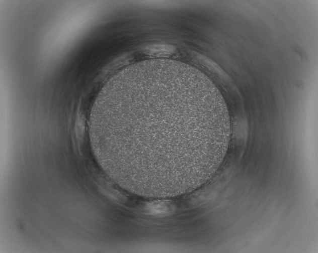 X0000112790761200910021059