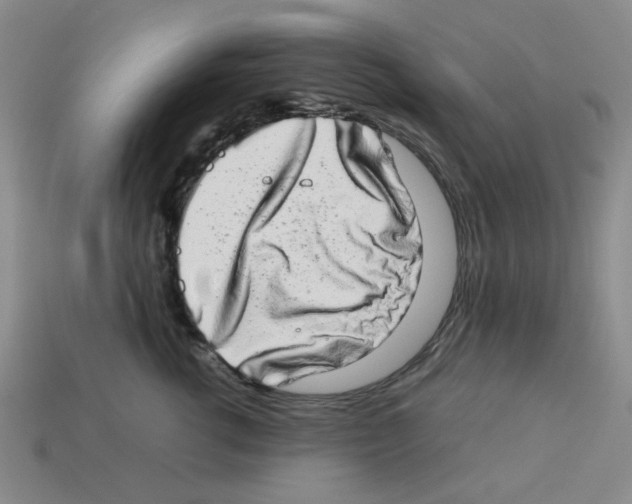 X0000112790762200910021059