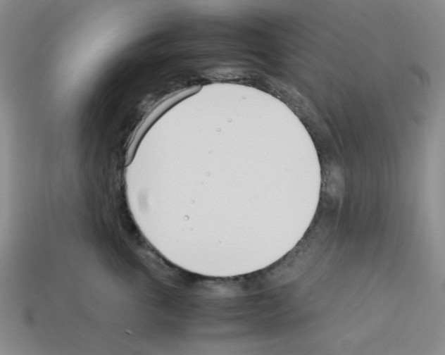 X0000112790763200910021059