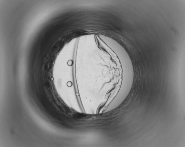 X0000112790764200910021059