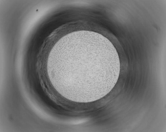 X0000112790765200910021059