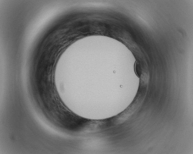 X0000112790766200910021059