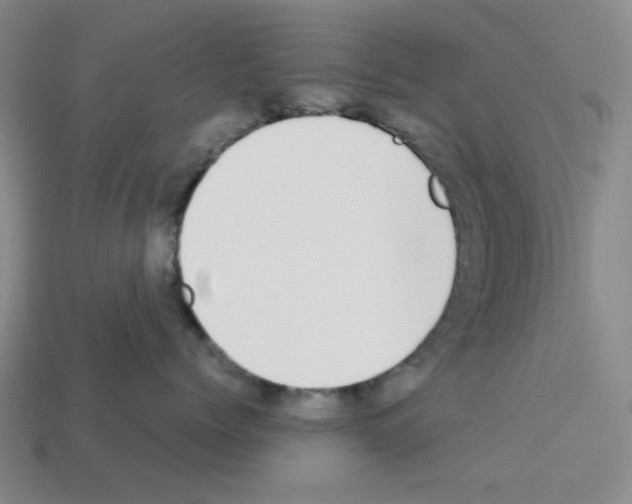 X0000112790768200910021059