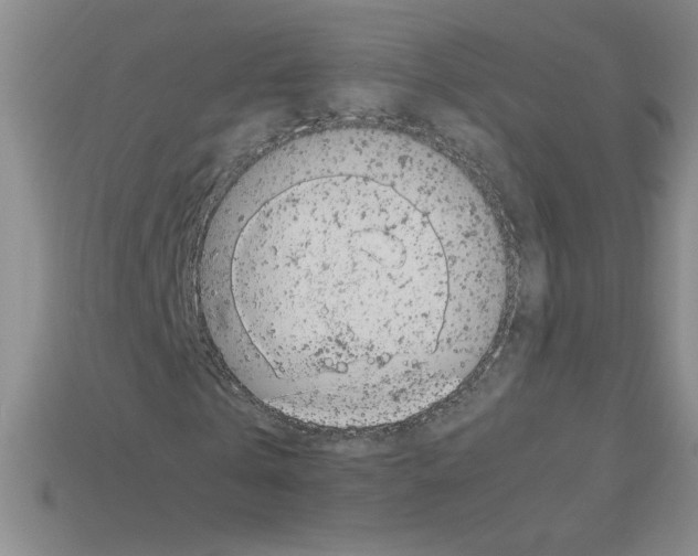 X0000112790769200910021059