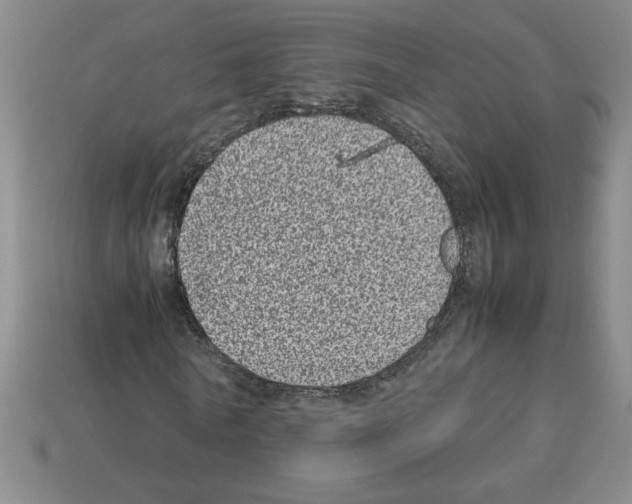 X0000112790770200910021059