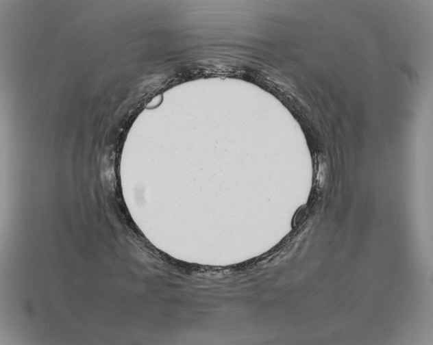 X0000112790771200910021059