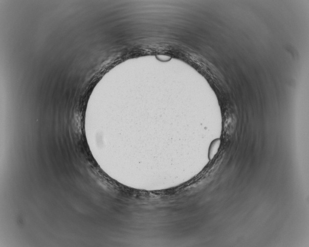 X0000112790772200910021059