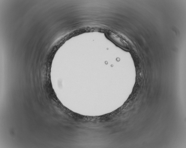 X0000112790775200910021059