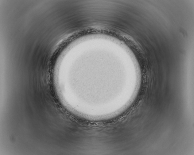 X0000112790776200910021059