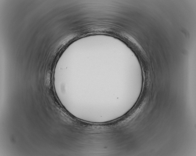 X0000112790777200910021059