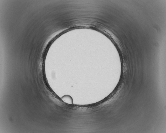 X0000112790779200910021058