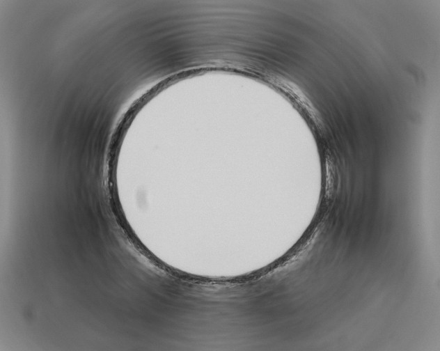 X0000112790780200910021058