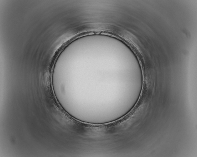 X0000112790781200910021058