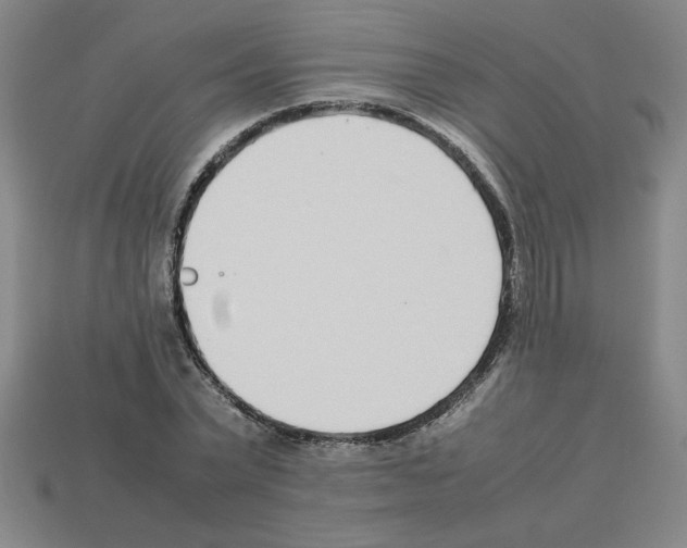 X0000112790783200910021058